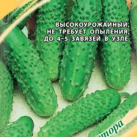 Купить Огурец Гирлянда F1