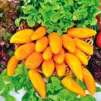 Купить семена Перец сладкий Апельсин желтый