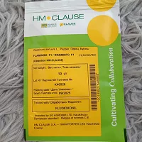 Купить семена Перец Фламинго