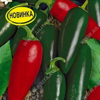 Купить семена перца острого Халапеньо мегаурожайного F1