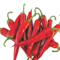 Купить семена Перец острый Шакира F1