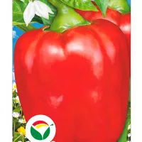 Купить семена Перец сладкий БИФ-Сибиряк