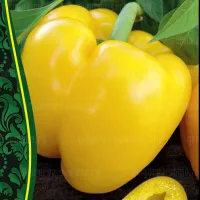 Купить семена Перец сладкий Желтый бык
