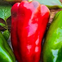 Купить семена Перец Воловье ухо