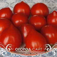 Купить семена Томат Гибрид Тарасенко № 2