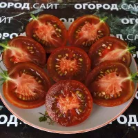 Купить семена Томат Кумато