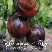 Купить семена Томат Восставший Звездный Истребитель Прайм носатый