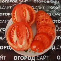 Купить семена Томат Минусинские носики