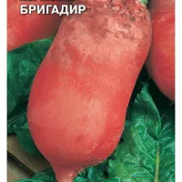 Купить семена Свекла кормовая Бригадир