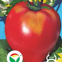 Купить семена Томат Батяня