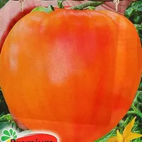 Купить семена Томат Дынюшка (дыневый мед)