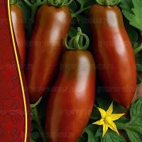 Купить семена Томат Фляшен коричневый  с носиком