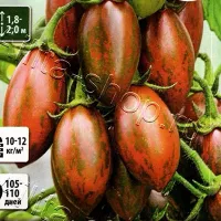 Купить семена Томат Фонданелло