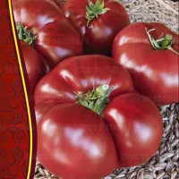 Купить семена Томат Гном Дикий Фред