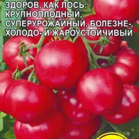 Купить семена Томат Лось