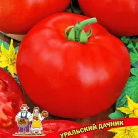 Купить семена Томат Миллионер