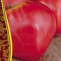 Купить семена Томат Минусинский домашний