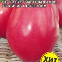 Купить семена Томат Настенька