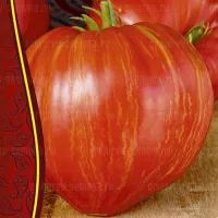 Купить семена Томат Разбитое Сердце Брэда Гейтса