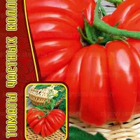 Купить семена Томат Русская Гармошка