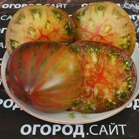 Купить семена Томат Триумф Софии