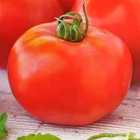 Купить семена Томат непасынкующийся Ультраскороспелый