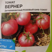Купить семена Томат Вернер F1