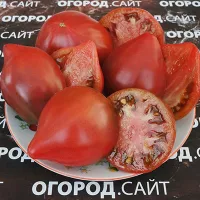 Купить семена томата Вишневый сироп коллекционный