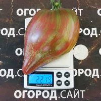 Купить семена Томат Волшебная радуга