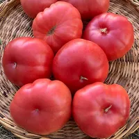 Купить семена Томат Розовый Марманде