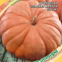 Купить семена Тыква Медовый пирог