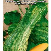Купить семена Тыква Шахерезада мускатная