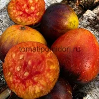 Купить семена Томат Ананасный сержант