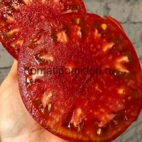 Купить семена Томат Белорусское сердце