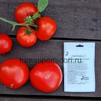 Купить семена Томат Белфорт F1