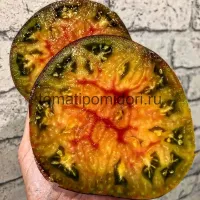 Купить семена томата Блаженство