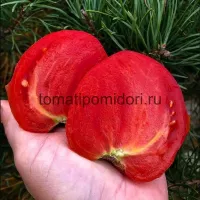 Купить семена Томат Бычье сердце полосатое