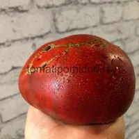 Купить семена Томат Варшава