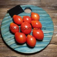 Купить семена Томат Весенняя Капель