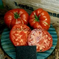 Купить семена Томат Воловье сердце