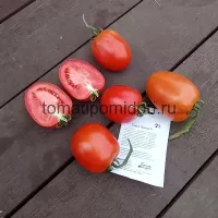 Купить семена Томат Галилея
