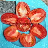 Купить семена Томат Гном Балет Мелани