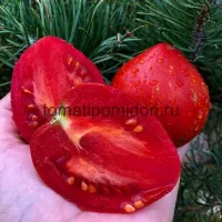Купить семена Томат Гном Крапчатое сердце