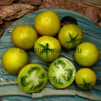 Купить семена Томат Гном Лайм Грин Салат