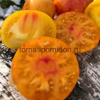 Купить семена Томат Гном Русский вихрь