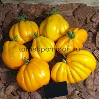 Купить семена Томат Желтые торбочки