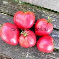 Купить семена Томат Миссис Шлаубах