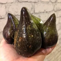 Купить семена томата Изумрудная Парча