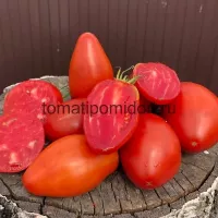 Купить семена Томат Итальянский Жеребец