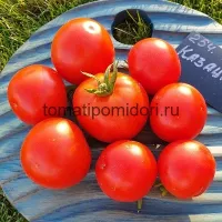 Купить семена Томат Казацкий